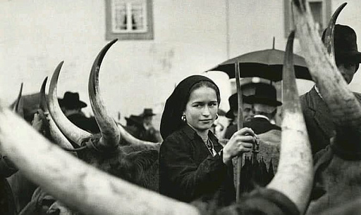 Девушка с волами, 1952 Foto: Ormond Gigli